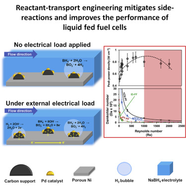 Reactant-Transport Engineering Approach to High-Power Direct Borohydride Fuel Cells