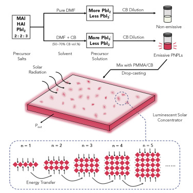 Solvent-Solute Coordination Engineering for Efficient Perovskite Luminescent Solar Concentrators