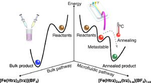 Pathway selection as a tool for crystal defect engineering: A case study with a functional coordinati