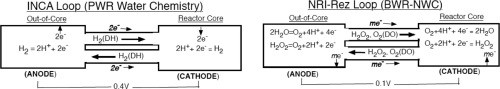 Radiation-induced electrolytic phenomena with differential radiation cell in water-cooled nuclear rea