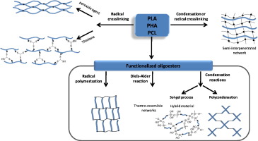 Networks based on biodegradable polyesters: An overview of the chemical ways of crosslinking