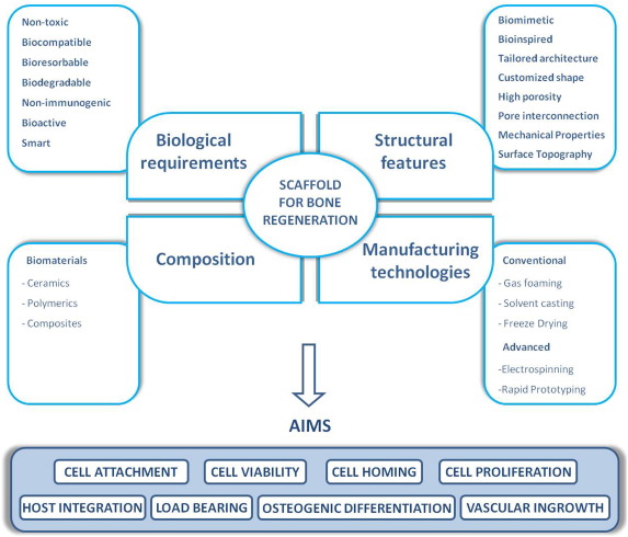 Scaffolds for Bone Tissue Engineering: State of the art and new perspectives