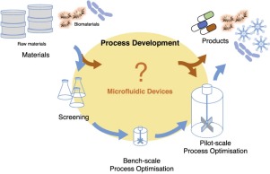 Bioprocess microfluidics: applying microfluidic devices for bioprocessing