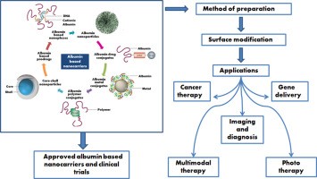 Albumin based versatile multifunctional nanocarriers for cancer therapy: Fabrication, surface modific