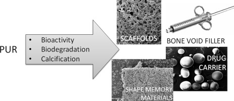 Development of polyurethanes for bone repair