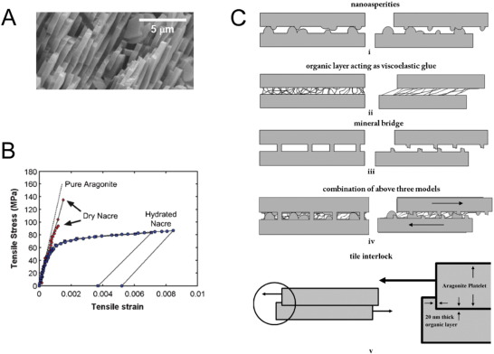 Nacre-inspired nanocomposites produced using layer-by-layer assembly: Design strategies and biomedica