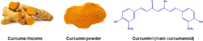 Exploring recent developments to improve antioxidant, anti-inflammatory and antimicrobial efficacy of