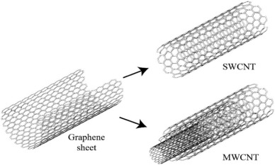 Carbon nanotubes: A review of novel strategies for cancer diagnosis and treatment  Author links open 