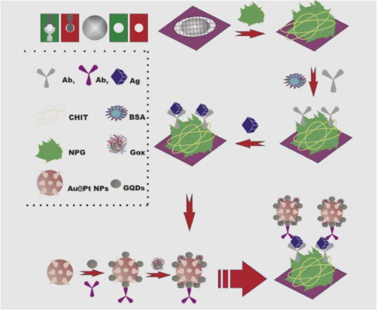 What are the reasons for low use of graphene quantum dots in immunosensing of cancer biomarkers?