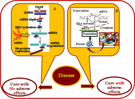 siRNA-nanoparticle conjugate in gene silencing: A future cure to deadly diseases?