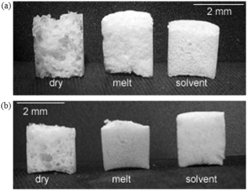 A comprehensive study on the fabrication and properties of biocomposites of poly(lactic acid)/ceramic