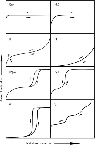 Progress in the Physisorption Characterization of Nanoporous Gas Storage Materials