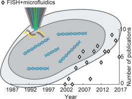 Fluorescence in situ hybridization (FISH): History, limitations and what to expect from micro-scale F