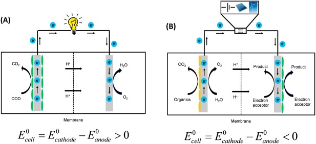 Towards automated design of bioelectrochemical systems: A comprehensive review of mathematical models