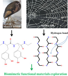 Recent exploration of bio-mimetic nanomaterial for potential biomedical applications