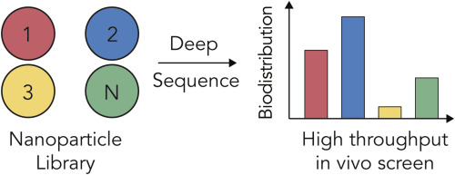 Testing thousands of nanoparticles in vivo using DNA barcodes