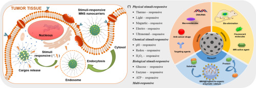 Evolution and present scenario of multifunctionalized mesoporous nanosilica platform: A mini review