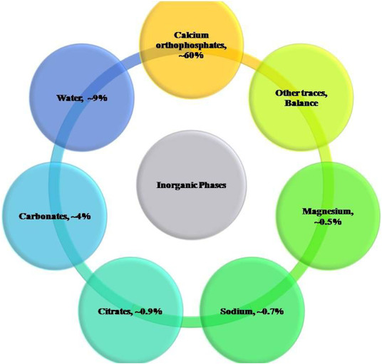 Natural calcium phosphates from fish bones and their potential biomedical applications