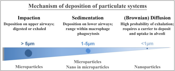 Exploring inhalable polymeric dry powders for anti-tuberculosis drug delivery  Author links open over