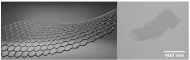 Graphene: A review of applications in the petroleum industry