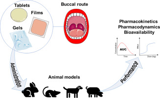 An overview of polymeric dosage forms in buccal drug delivery: State of art, design of formulations a