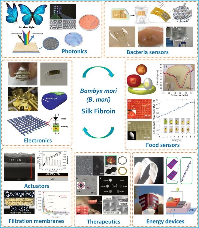 Advancing the frontiers of silk fibroin protein-based materials for futuristic electronics and clinic