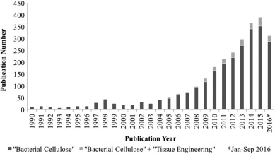 In situ and ex situ modifications of bacterial cellulose for applications in tissue engineering