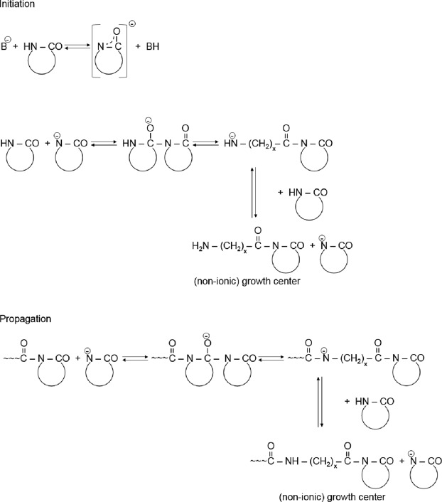 Toward industrial use of anionically activated lactam polymers: Past, present and future