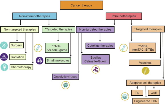 Engineered T Cell Therapies from a Drug Development Viewpoint