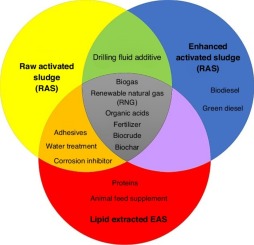 Biobased chemical and energy recovered from waste microbial matrices