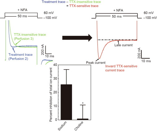 Neurolemma-Injected Xenopus Oocytes: An Innovative Ex Vivo Approach to Study the Effects of Pyrethroi