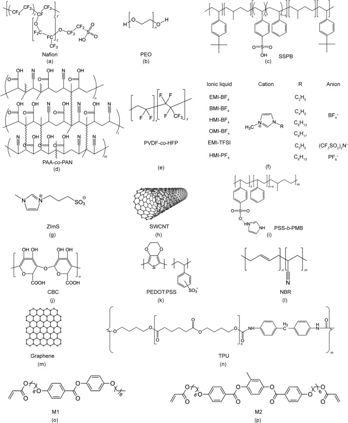 Ionic Elastomers for Electric Actuators and Sensors