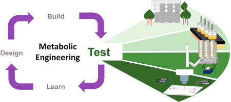 High-throughput screening for high-efficiency small-molecule biosynthesis