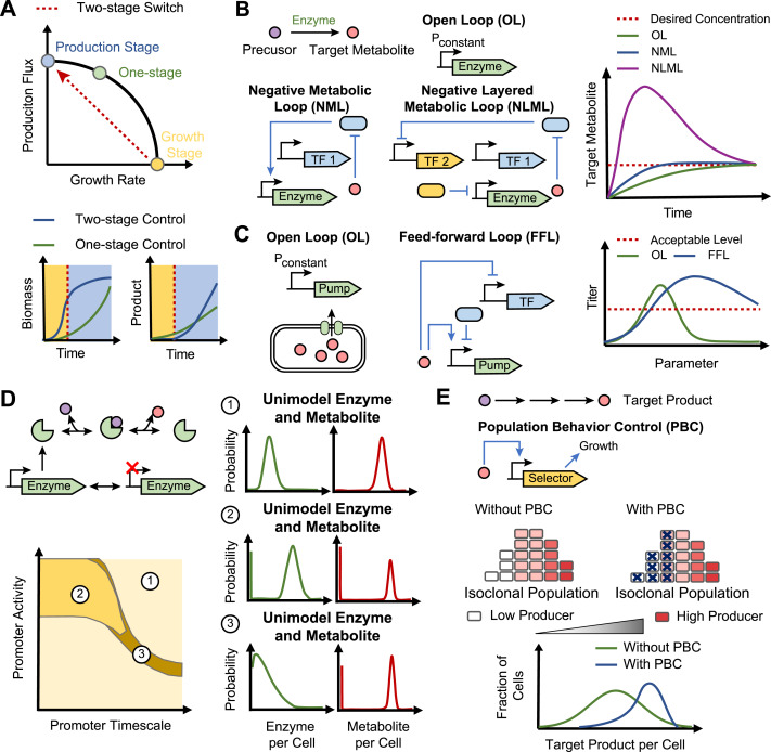 Dynamic control in metabolic engineering: Theories, tools, and applications