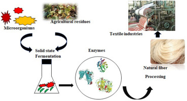 Eco-friendly degumming of natural fibers for textile applications: A comprehensive review