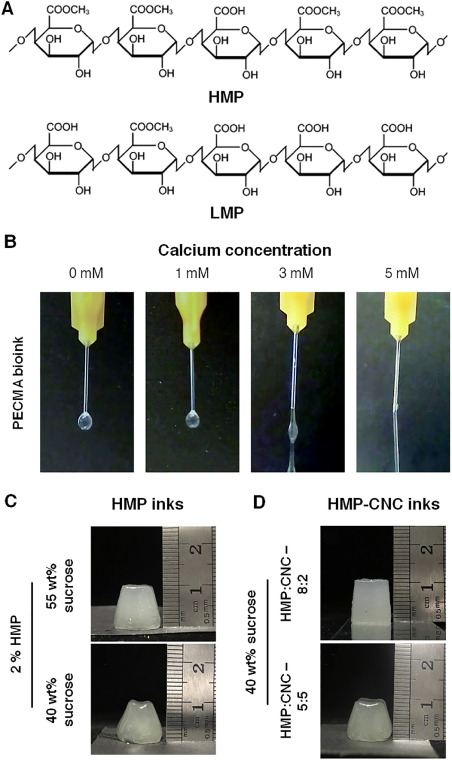 Extrusion 3D printing with Pectin-based ink formulations: Recent trends in tissue engineering and foo