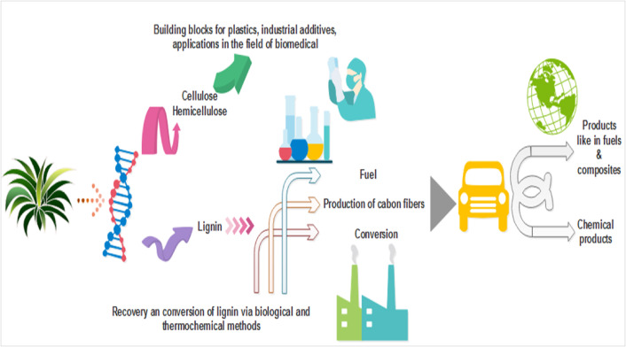 Economical concerns of lignin in the energy sector