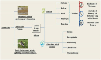 Aquatic weed as a biorefinery resource for biofuels and value-added products: Challenges and recent a