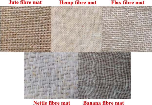 Moving towards the era of bio fibre based polymer composites