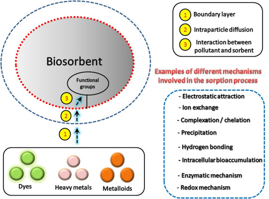 A critical review of biosorption of dyes, heavy metals and metalloids from wastewater as an efficient