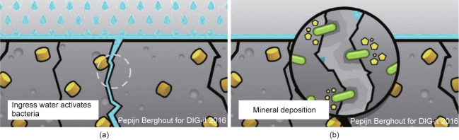 Multifunctional, Sustainable, and Biological Non-Ureolytic Self-Healing Systems for Cement-Based Mate