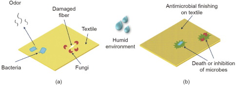 Plasma-Assisted Antimicrobial Finishing of Textiles: A Review