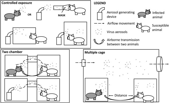 Current understanding of the airborne transmission of important viral animal pathogens in spreading d