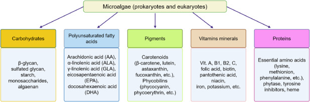 Aquaculture sustainability through alternative dietary ingredients: Microalgal value-added products