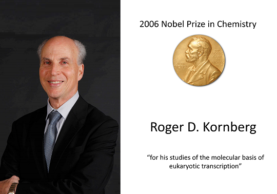 The Nobel Prize in Chemistry 2006