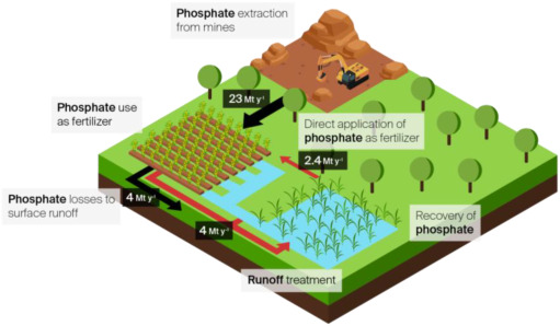 A review of technologies for closing the P loop in agriculture runoff: Contributing to the transition