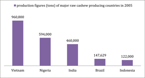 Utilizing cashew nut shell liquid for the sustainable production of biodiesel: A comprehensive review