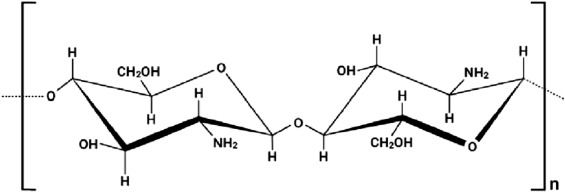 Derivation of composites of chitosan-nanoparticles from crustaceans source for nanomedicine: A mini r