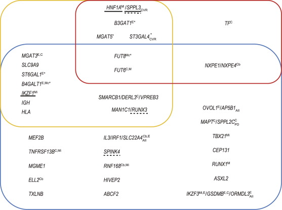 Twelve Years of Genome-Wide Association Studies of Human Protein N-Glycosylation