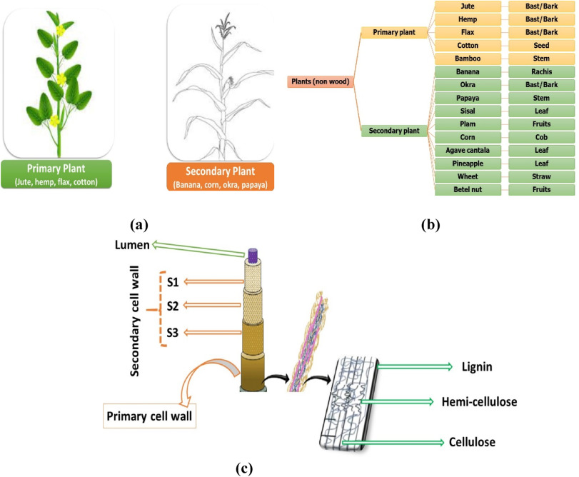 A state-of-the-art review focusing on the significant techniques for naturally available fibers as re